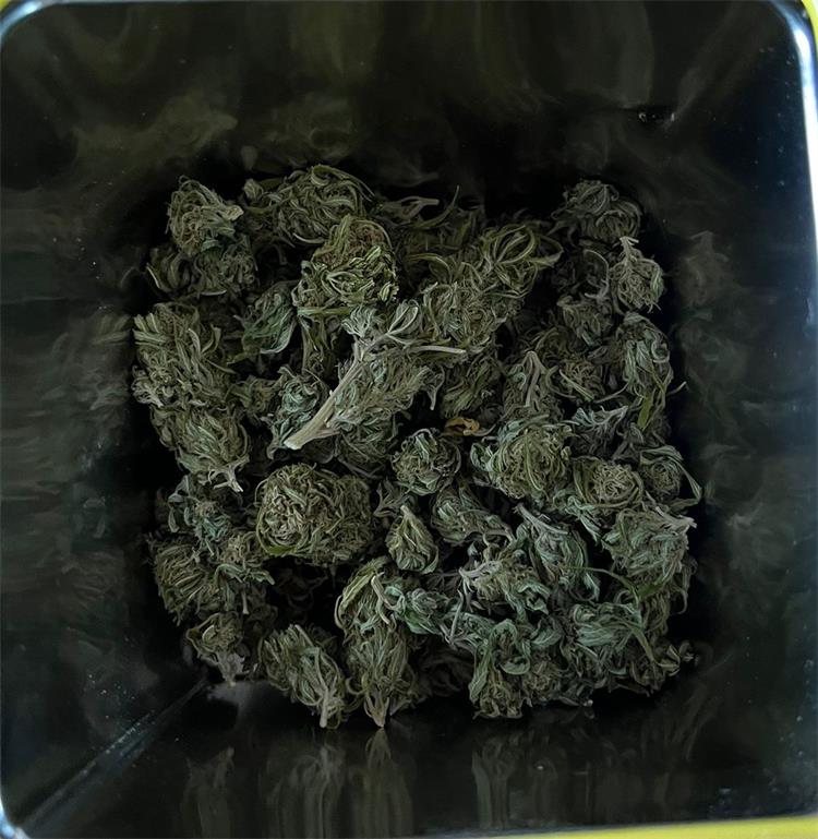 Slika /PU splitsko-dalmatinska 2022/Droga/IMG-20221014-WA0005.jpg